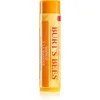 Image de Burt’s Bees Lip Balm Mango baume à lèvres nourrissant 4.25 g