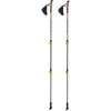 Image de Ferrino Creek Nordic Walking Bâtonnets Gris