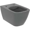 Image de Ideal Standard T461458 i.Life B Cuvette WC, Gris Brillant