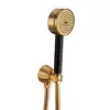Image de Mamoli GIO Ponti Ensemble de douche avec coude de raccordement mural et support de douche, 0000FR14002G,