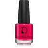 Image de Diego dalla Palma Nail Polish vernis à ongles longue tenue teinte 221 Mon-cherry 14 ml