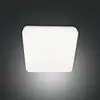 Image de FABAS LUCE Folk Plafonnier, LED, 3526-61-102,