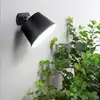 Image de FABAS LUCE Armanda Projecteur sur batterie, LED, 3742-50-101,
