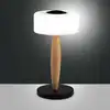 Image de FABAS LUCE Elea Lampe de table LED, 3761-30-101,