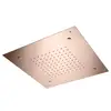 Image de Mariner Douche de tête avec effet pluie en Acier inoxydable, pour montage au plafond, 2 fonctions, WLS3709-RG,