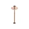 Image de Mariner Bras de douche en Acier inoxydable pour montage au plafond, WLS3143-RG,