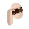 Image de Mariner Uno Robinet de douche, pour 1 sortie, pour corps encastré, UNO1900-RG,