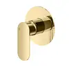 Image de Mariner Uno Robinet de douche, pour 1 sortie, pour corps encastré, UNO1900-OR,