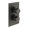 Image de Mariner Mitigeur thermostatique encastré, TER5030-GR,