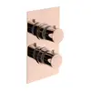 Image de Mariner Mitigeur thermostatique encastré, TER5030-RG,