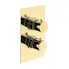 Image de Mariner Mitigeur thermostatique encastré, TER5030-OR,