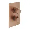Image de Mariner Mitigeur thermostatique encastré, TER5020-RS,