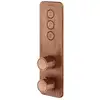 Image de Mariner Oasy Mitigeur thermostatique pour 3 sorties, installation à la verticale, OASV1903-RS,