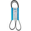 Image de DAYCO 6PK1453 Courroie Accessoire