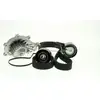 Image de DAYCO Pompe à eau + kit de courroie de distribution pour PEUGEOT: 207, 107, Bipper, 307, 206, 1007, 206+ & FORD: Fiesta, Fusion (Ref: KTBWP3100)
