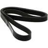 Image de DAYCO 6PK1580S Courroie Accessoire, Noir