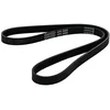 Image de DAYCO 4PK985 Courroie Accessoire