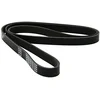 Image de DAYCO 6PK1750 Courroie Accessoire