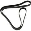 Image de DAYCO 6PK1855 Courroie Accessoire
