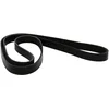 Image de DAYCO 6PK1613 Courroie Accessoire