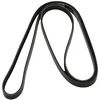 Image de DAYCO 4PK1770 Courroie Accessoire