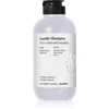 Image de FarmaVita Backbar Gentle shampoing hydratant pour un lavage délicat 250 ml