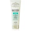 Image de Alfaparf Milano Il Salone Milano Scalp System shampoing nettoyant en profondeur pour cuir chevelu gras 250 ml