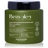 Image de Alfaparf Milano Benvoleo Recovery masque régénérateur intense pour cheveux abîmés 450 ml