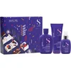 Image de Alfaparf Milano Semi di Lino Blonde Holiday Kit Coffret cadeau pour cheveux blonds et méchés 3 pcs