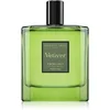 Image de L'ERBOLARIO Vetiver Eau de Toilette pour homme 100 ml