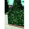 Image de Linea Garden Friend S1098005 Clôture en PVC avec Feuilles Lauro et Filet d'ombrage 1 x 3, Vert