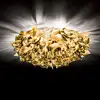 Image de Slamp Veli Plafonnier, VELCL00GLD00000000EU,