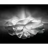 Image de Slamp La Belle Étoile Plafonnier LED, ETOCS00PRS00000LEDEU,