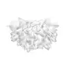 Image de Slamp Veli Foliage Applique murale/Plafonnier, VELCS00FLG00000000EU,