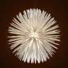 Image de Foscarini Sun Light of Love Suspension, LED, FN297007_10,