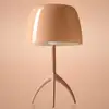 Image de Foscarini Lumiere Nuances Lampe de table E14/E27, FN026001E_61D,
