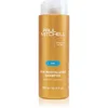 Image de Paul Mitchell Sun Revitalizing Shampoo shampoing hydratant pour cheveux exposés au chlore, au soleil et à l'eau salée 300 ml