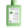 Image de Teaology Matcha Tea Repair Shampoo shampoing fortifiant 250 ml