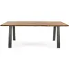 Image de CONCEPT1 Aron acacia 200 x 95 x h77 cm ARON-0745491-TAB