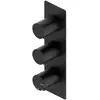 Image de Ritmonio Diametro35 Cross | Diametro35 S Mitigeur thermostatique pour 2 sorties, PR47HE101C04,