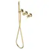 Image de Ritmonio Diametro35 Cross Mitigeur monocommande avec set de douche, PR53GG201CHX,