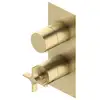 Image de Ritmonio Diametro35 Cross | Diametro35 S Mitigeur thermostatique pour 3 sorties, PR53HG101CHX,