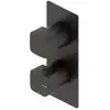 Image de Ritmonio Haptic S Mitigeur thermostatique pour 1 sortie, PR43HC103C04,