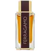 Image de Ferragamo - Spicy Leather Eau de parfum 100 ml male