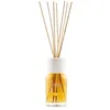 Image de Millefiori MILANO - RIVIERA Diffuseurs et parfums d'intérieur 100 ml unisex