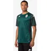 Image de Kappa ABOUPRET Pro 8 Monaco ACT Jersey ASM | Homme | Taille M | Green DK Rain/Green DK