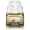 Image de THD Vegetal Sun & Sand bougie parfumée 100 g