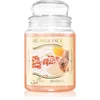 Image de THD Vegetal Goji E Maracuja bougie parfumée 600 g
