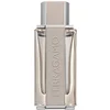Image de Ferragamo - Bright Leather Eau de toilette 100 ml male