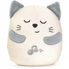 Image de CHICCO, Peluche Chaton
